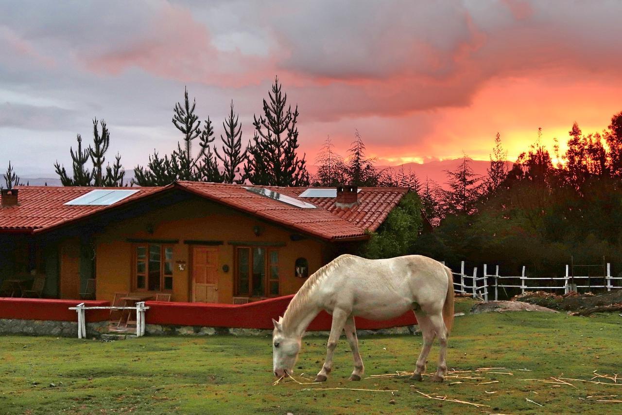The Lazy Dog Inn A Mountain Lodge Huaraz  Luaran gambar