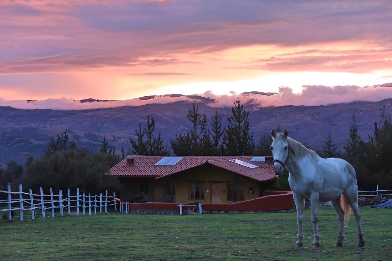 The Lazy Dog Inn A Mountain Lodge Huaraz  Luaran gambar