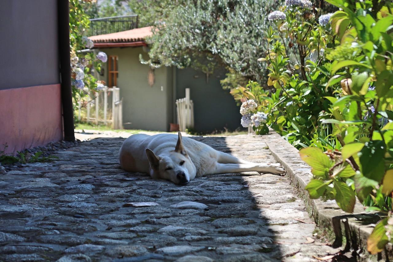The Lazy Dog Inn A Mountain Lodge Huaraz  Luaran gambar