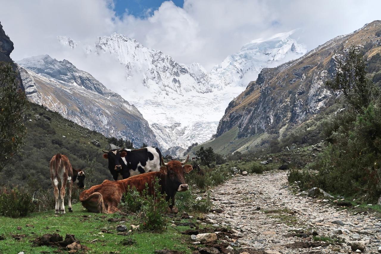 The Lazy Dog Inn A Mountain Lodge Huaraz  Luaran gambar